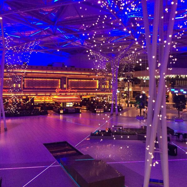 Corporate event planner: the best choice
